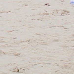 Meet your Posher, Britt